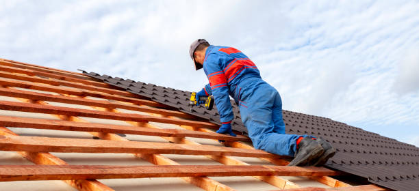 Best Roof Waterproofing  in USA